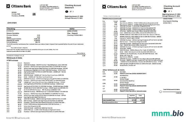 USA Citibank oświadczenie Word i PDF szablon, 3 strony